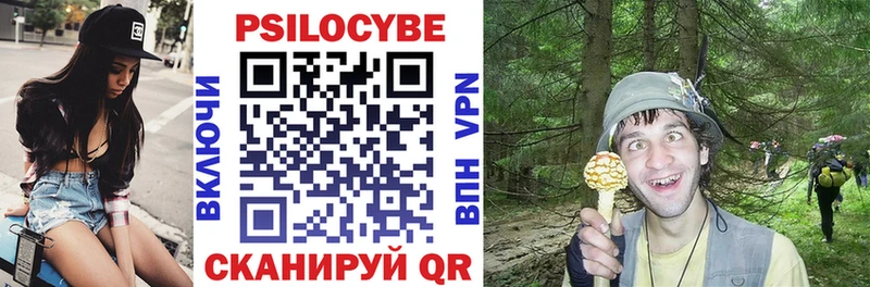 Галлюциногенные грибы Psilocybe  Ядрин 